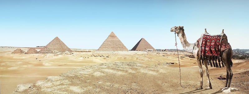 Archaeological dig site